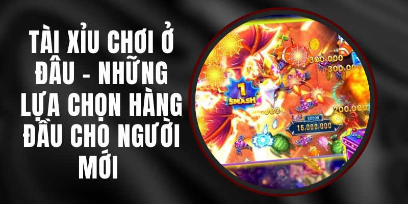 Tài Xỉu Chơi Ở Đâu – Những Lựa Chọn Hàng Đầu Cho Người Mới